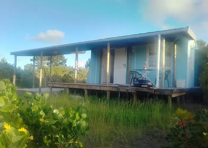 Fynbos Tiny Home - Off Grid, Surrounded By Nature