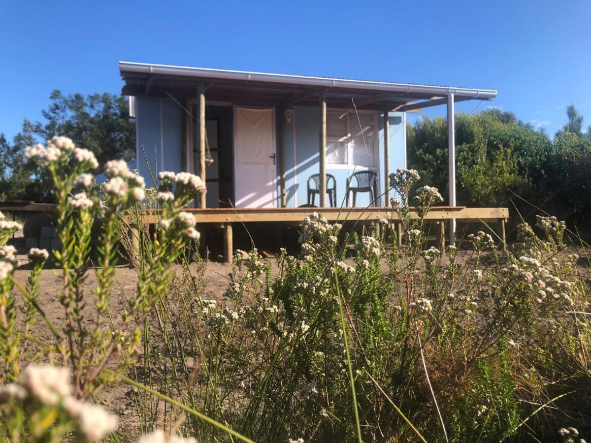 Luxuszelt Fynbos Tiny - Off Grid, Surrounded By Nature Plettenberg Bay